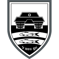 In Schwarz-silber: ein Kampfpanzer, darunter zwei Fische und der Spruch „‘s mou gei“ (Es muss gehen)