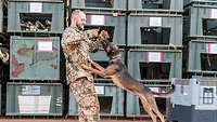 Ein Mann spielt mit seinem Hund