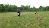 Eine Frau und ein Hund auf der Wiese